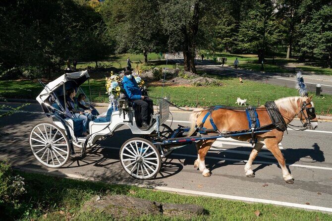 Central Park and NYC Private Horse Carriage Ride - FAQs