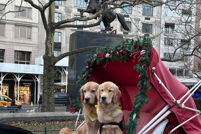 Central Park Carriage Ride NYCs Timeless Tour - A Deep Dive into the Central Park Carriage Ride Experience