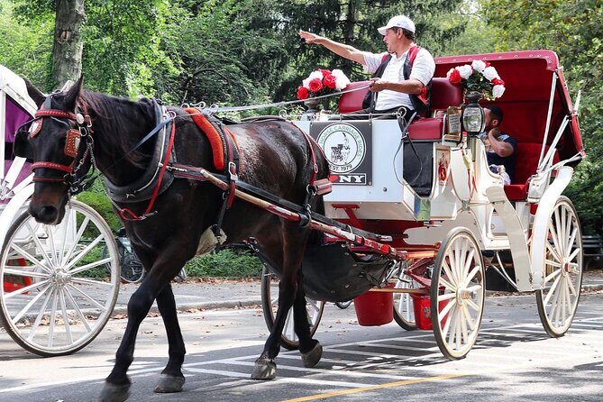 Central Park Carriage Ride w/ Drop Off @ Tavern On Green (45 min) - A Deep Dive into the Central Park Carriage Ride Experience