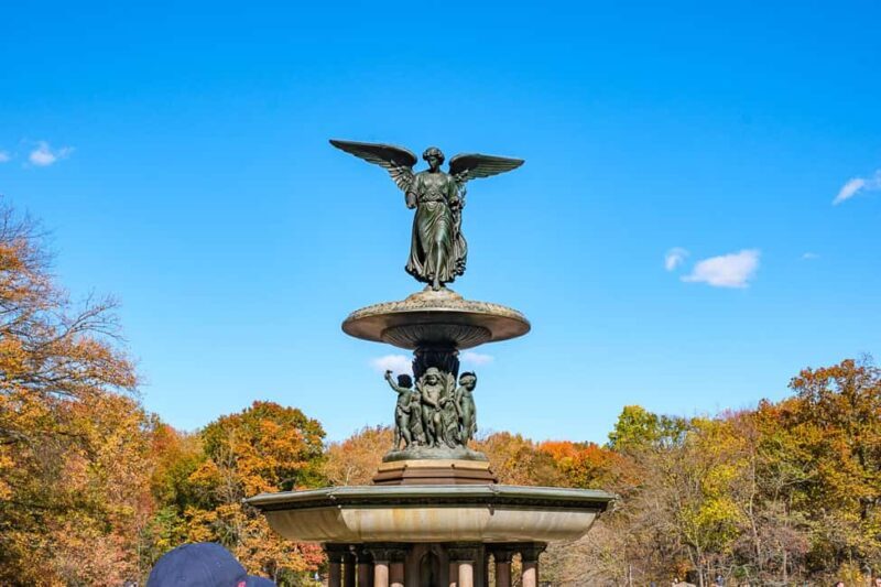 Central Park Guided Bike Tour - What the Reviews Highlight About This Experience