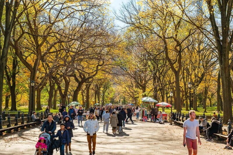 Central Park Guided Bike Tour - The Value of This Tour