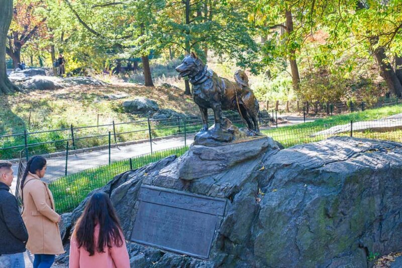 Central Park Guided Bike Tour - Who Should Consider This Tour?