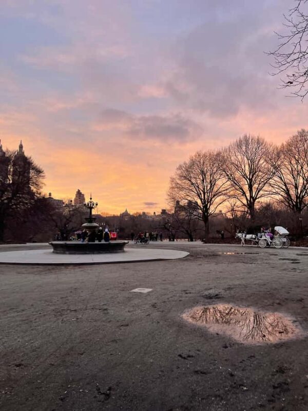 Central Park: Guided Pedicab Tour With Photo Stops - Key Points