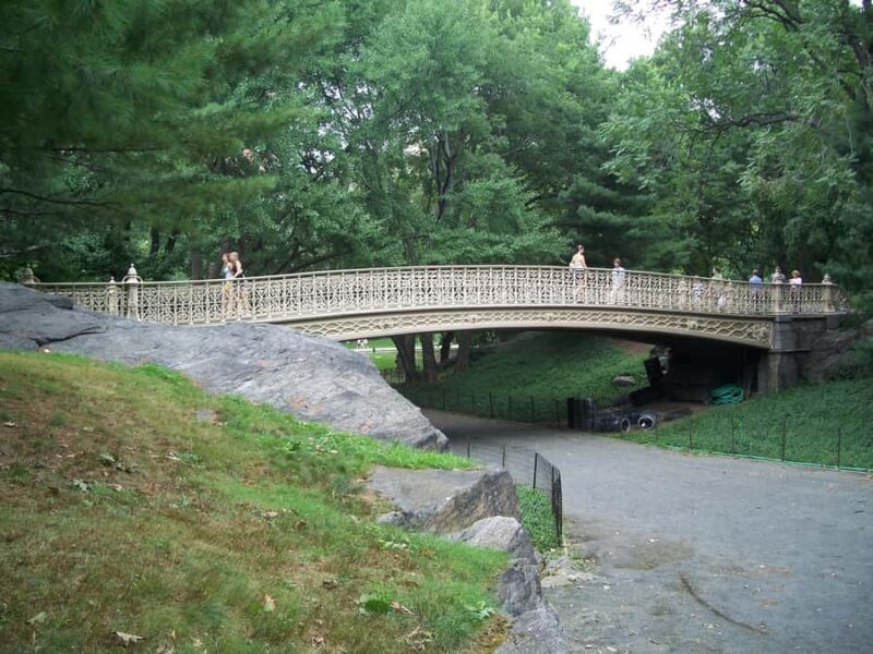 Central Park: Guided Pedicab Tour With Photo Stops - The Sum Up