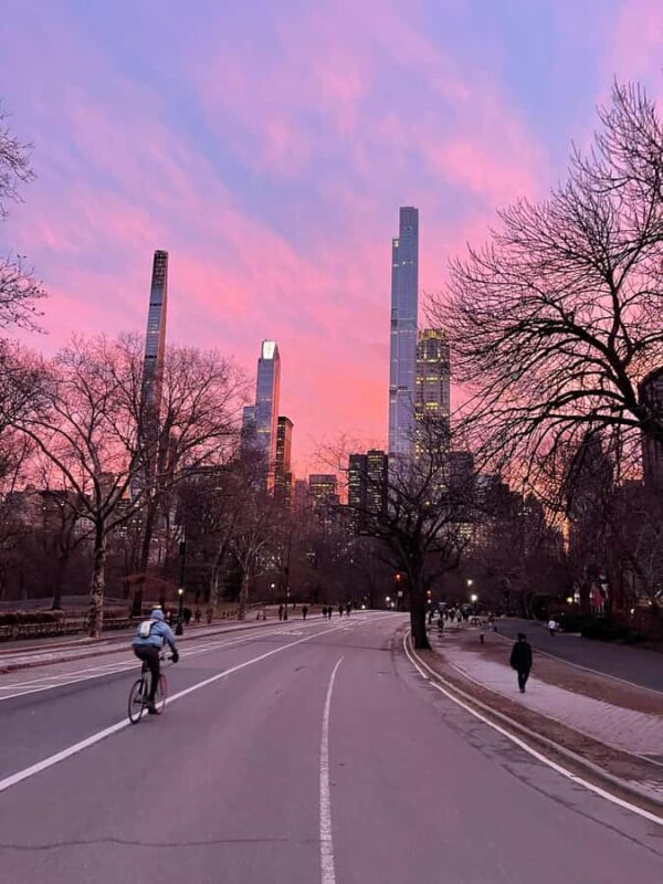 Central Park: Guided Pedicab Tour With Photo Stops - FAQ