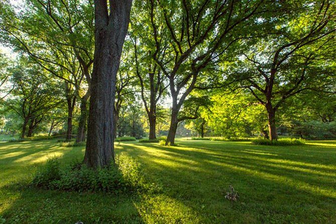 Central Park Guided Walking Tour - Final Thoughts