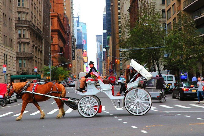 Central Park Horse Carriage Ride Short Loop (Up to 4 Adults)) - In-Depth Review of the Central Park Horse Carriage Ride