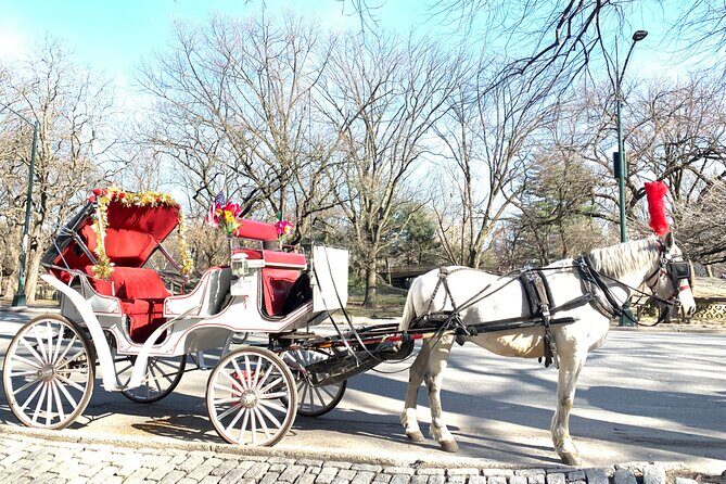 Central Park Horse Carriage Rides Since 2005 - Exploring Central Park on Horseback: An Authentic, Relaxed Ride
