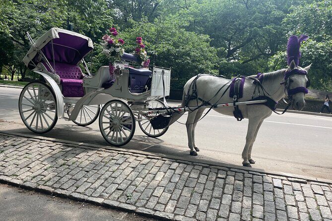Central Park Horse Carriage Rides Since 2005 - Key Points