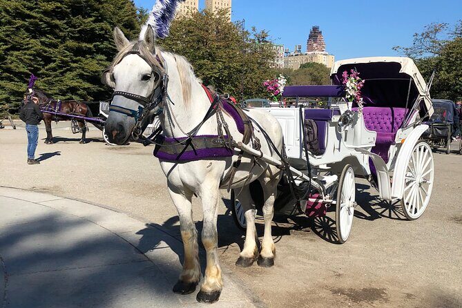 Central Park Horse Carriage Rides Since 2005 - Who Would Love This Tour?