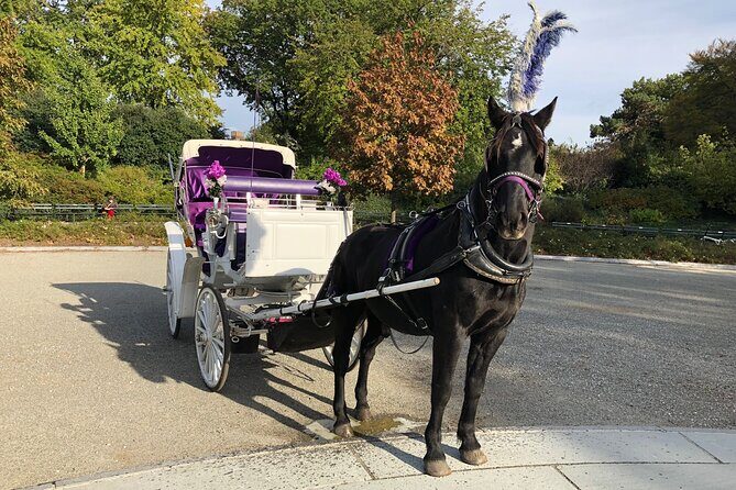Central Park Horse Carriage Rides Since 2005 - The Sum Up