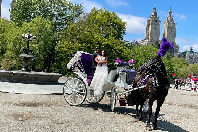 Central Park Horse Carriage Rides Since 2005 - FAQ