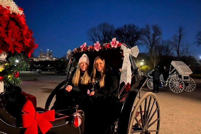 Central Park Moonlight Tour with Photo (45 min) ~ Skip the line - Experience Central Park Under the Stars with a Moonlight Horse Carriage Tour
