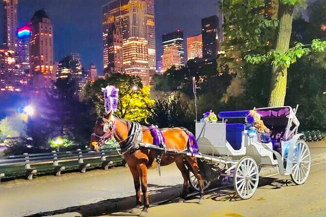 Central Park Moonlight Tour with Photo (45 min) ~ Skip the line - The Value for Travelers