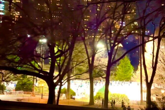 Central Park Moonlight Tour with Photo (45 min) ~ Skip the line - Final Thoughts