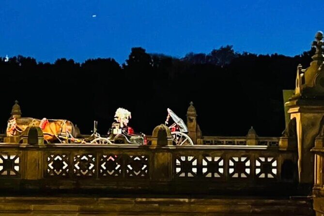 Central Park Moonlight Tour with Photo (45 min) ~ Skip the line - Final Recommendation