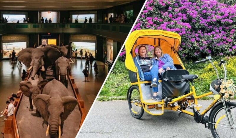 Central Park Pedicab Tour + Optional Natural History Access - Key Points