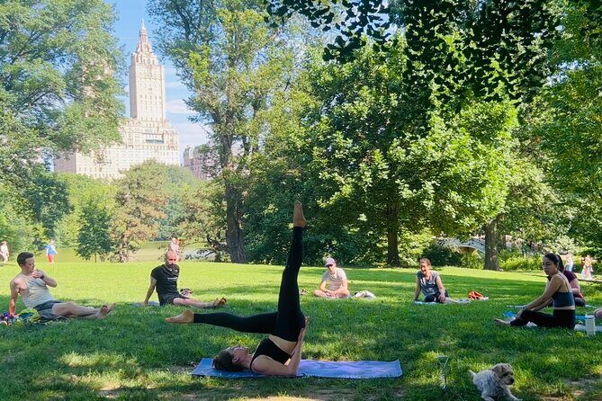 Central Park Pilates - An In-Depth Look at Central Park Pilates