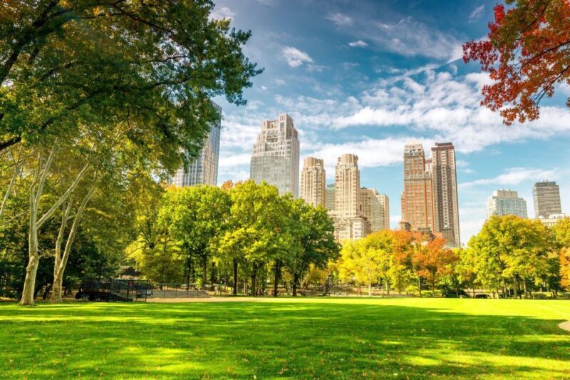 Central Park Private Walking Tour with Transfers - Final Thoughts: Is It Worth It?