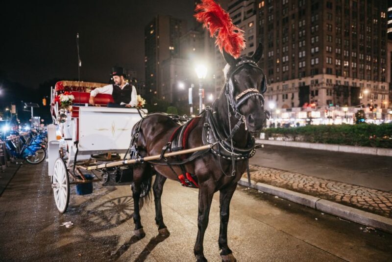 Central Park, Rockefeller & Times Carriage Ride (4 Adults) - Who Will Love This Tour?