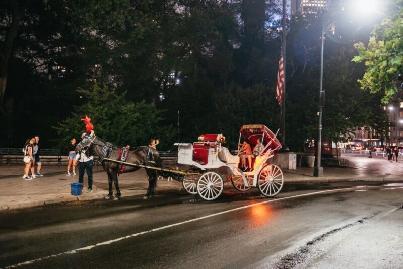 Central Park, Rockefeller & Times Carriage Ride (4 Adults) - The Sum Up