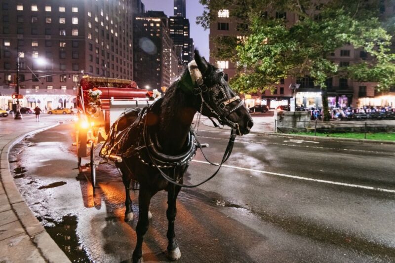 Central Park, Rockefeller & Times Carriage Ride (4 Adults) - FAQ