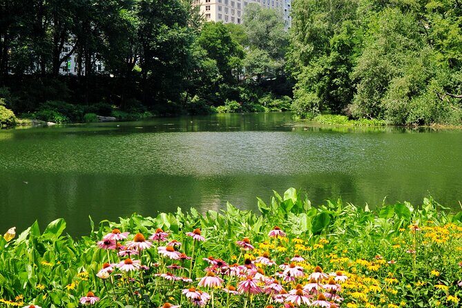 Central Park Scenic Walk with Local Guides - Why This Tour Stands Out