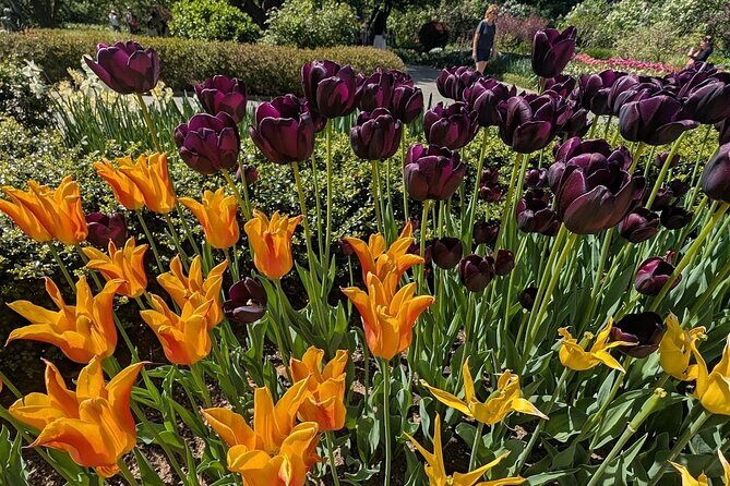 Central Park Sightseeing Guided Hike - Practical Details and What to Expect