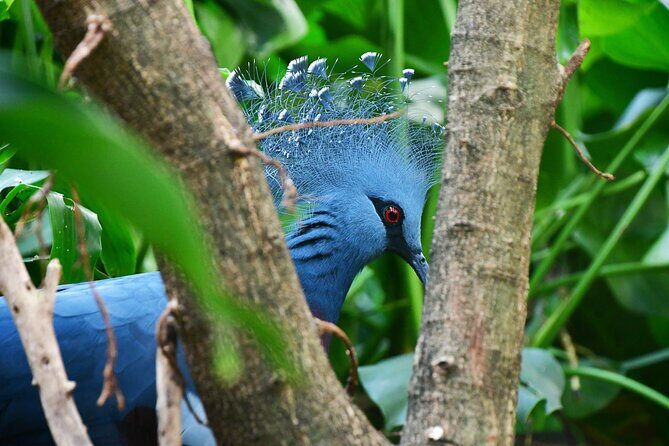 Central Park Zoo Skip-the-line Tickets & Private Transfers - Who Would Enjoy This Tour?