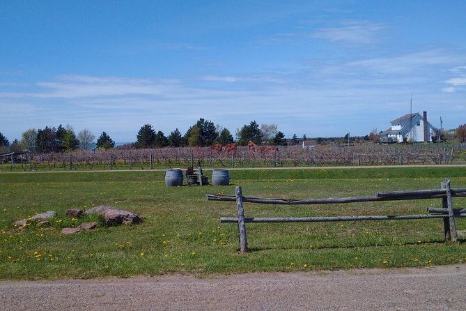 Central PEI Winery, Apiary and Mead Tasting Tour - The Sum Up