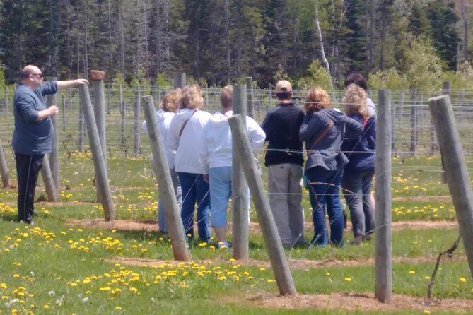Central PEI Winery, Apiary and Mead Tasting Tour - FAQ