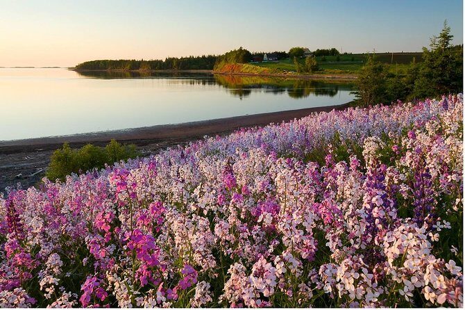 Central PEI Winery, Brewery, and Distillery Tasting Tour DE Force - Discover the Charm of Prince Edward Island’s Craft Beverage Scene