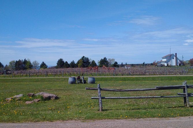 Central PEI Winery, Brewery, and Distillery Tasting Tour DE Force - Key Points