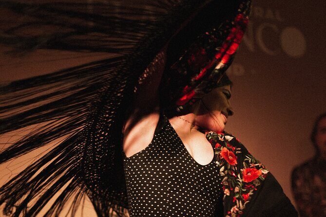 Centro Cultural Flamenco Madrid Admission Ticket - A Deep Dive into the Flamenco Experience in Madrid