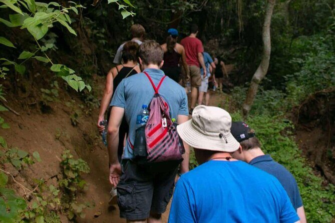 Cerro del Mono Hiking Adventure in Punta Mita - Authentic Experiences from Past Participants