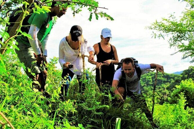 Cerro del Mono Hiking Adventure in Punta Mita - FAQ