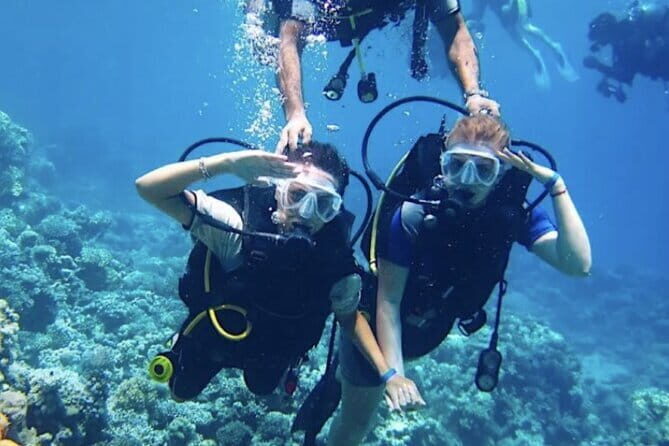 Certified and Beginner Scuba Diving from Pattaya - FAQs