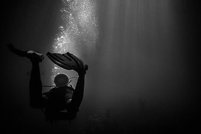 Certified Beach Night Dive - A Closer Look at the Hawaii Night Dive Experience