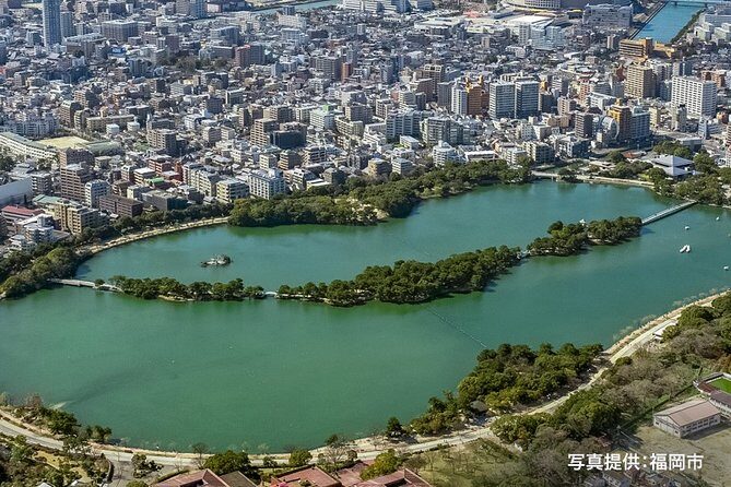 Certified by Fukuoka: A Photogenic Tour to Visit Beautiful Spots with Kimono on! - Who Will Love This Tour?