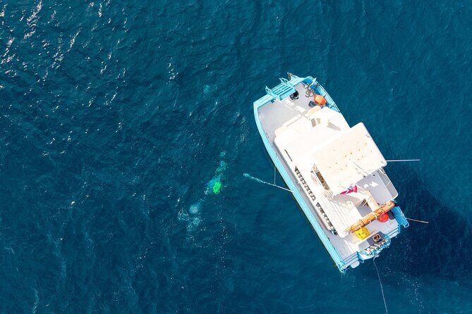 Certified Diver 2 Tank Shallow Reef Dives Off Wai'anae - Key Points