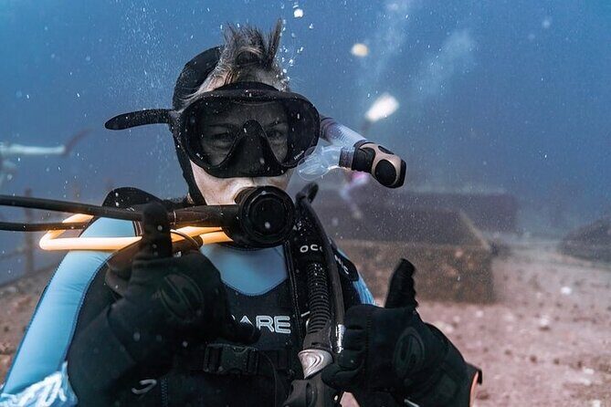 Certified Divers: Best 2-Tank Wrecks & Reef Boat Dive All Inclusive From Waikiki - Why This Tour Offers Excellent Value