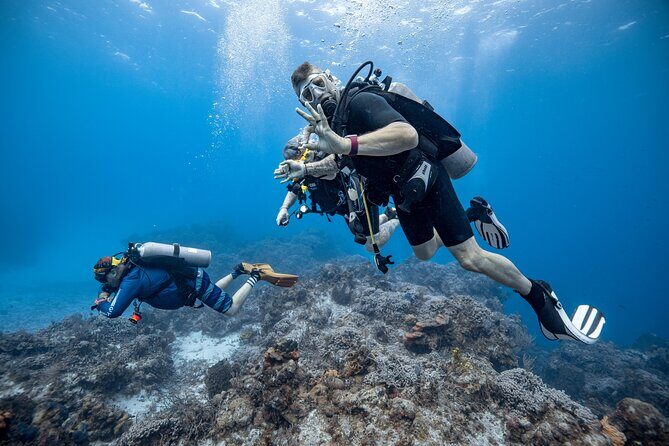 Certified Diving 2 Tanks in Cozumel - Frequently Asked Questions