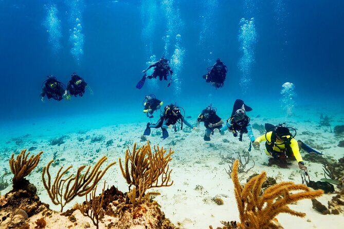 Certified Diving Experience in Cozumel - Who Should Book This Tour?