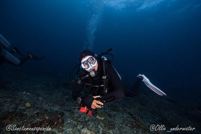 Certified Scuba Dive with Manta Rays (Open Water Diver minimum) - Key Points