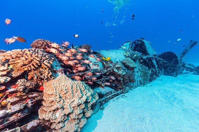 Certified Scuba Diving Experience in Honolulu - FAQ