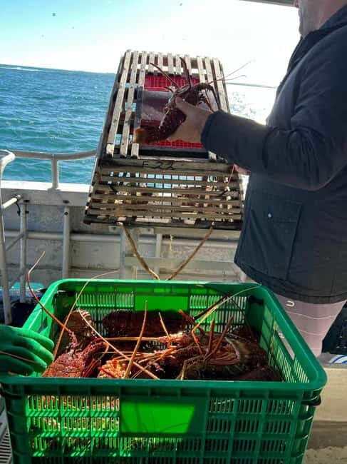 Cervantes: Lobster Catching Tour - FAQ