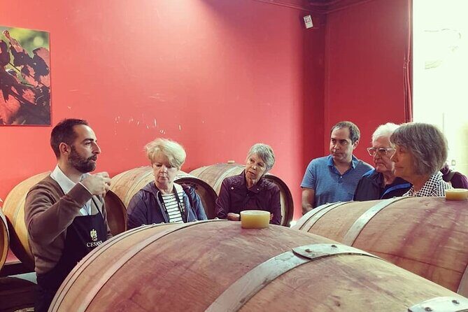 Cesani Wine Experience - Final Thoughts: Is It Worth It?