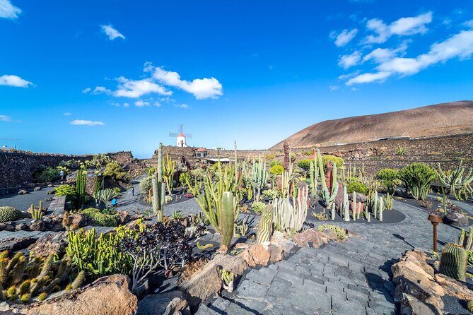 Cesar Manrique Highlights Half Day Tour - What Travelers Say