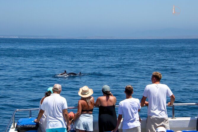 Cetacean Watching Tour - Setting the Scene: Departure from Barbate Marina