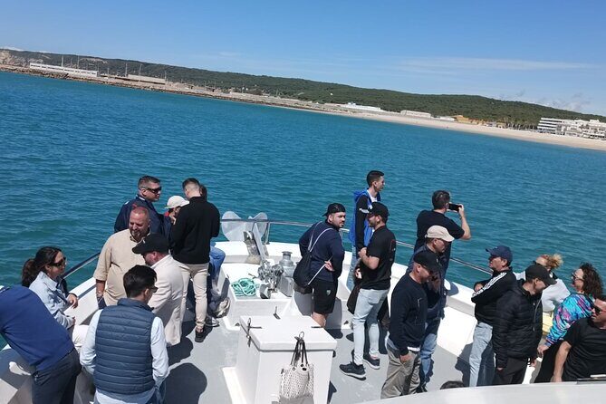 Cetacean Watching Tour - The Journey Begins: An Excursion Into the Marine World